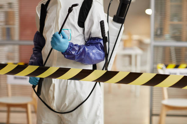 Professional Blood Cleanup technician working in Miramonte, CA